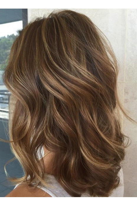 अंधेरा Brown Hair with Blonde Highlights