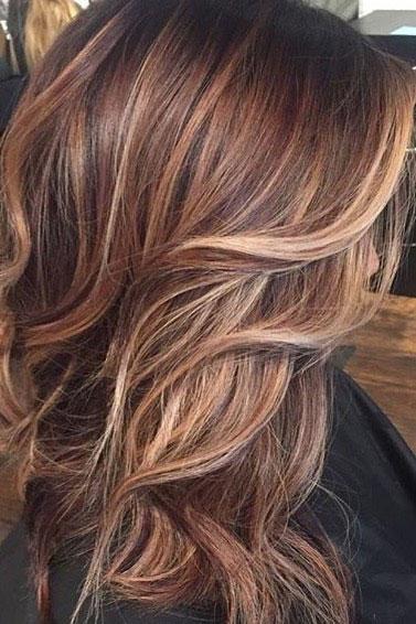 smeđ Hair with Copper Blonde Highlights