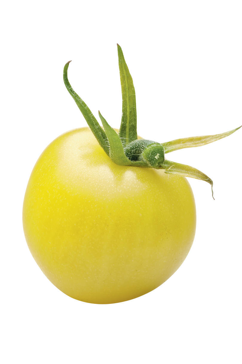 नींबू Cherry Tomato