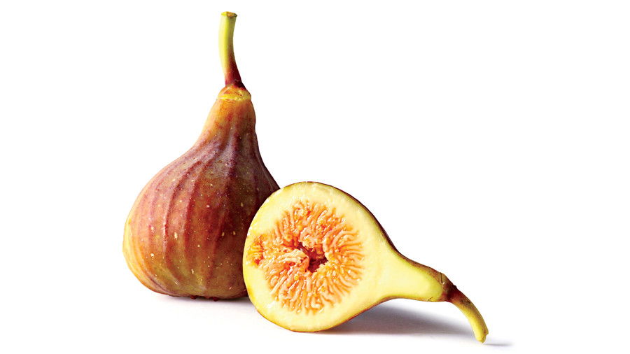 अंजीर Fruit Varieties: 'O'Rourke' Fig