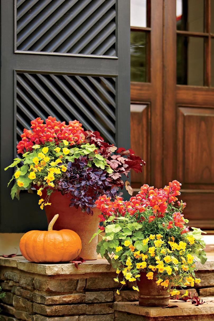 Kasvi a Vibrant Fall Container