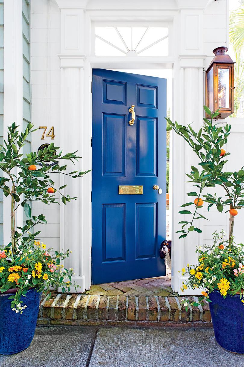 plava Door