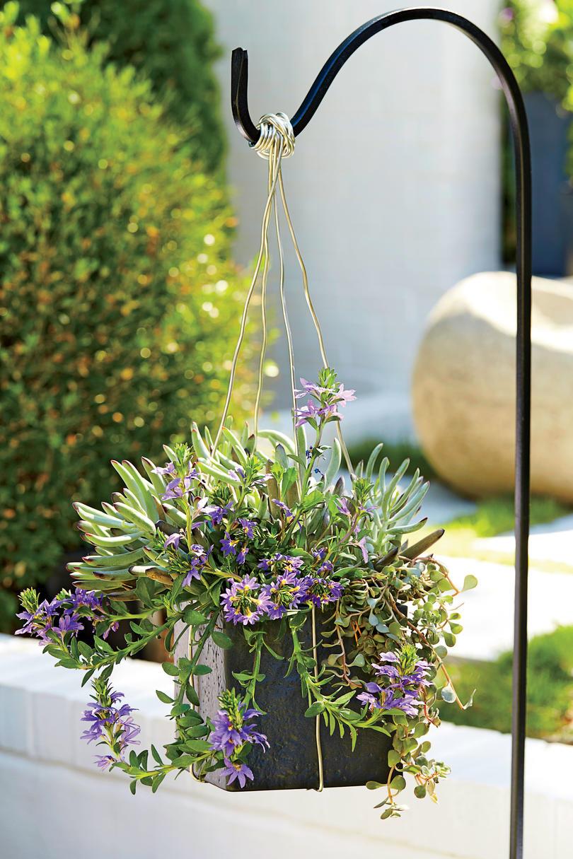 Modern Hanging Container
