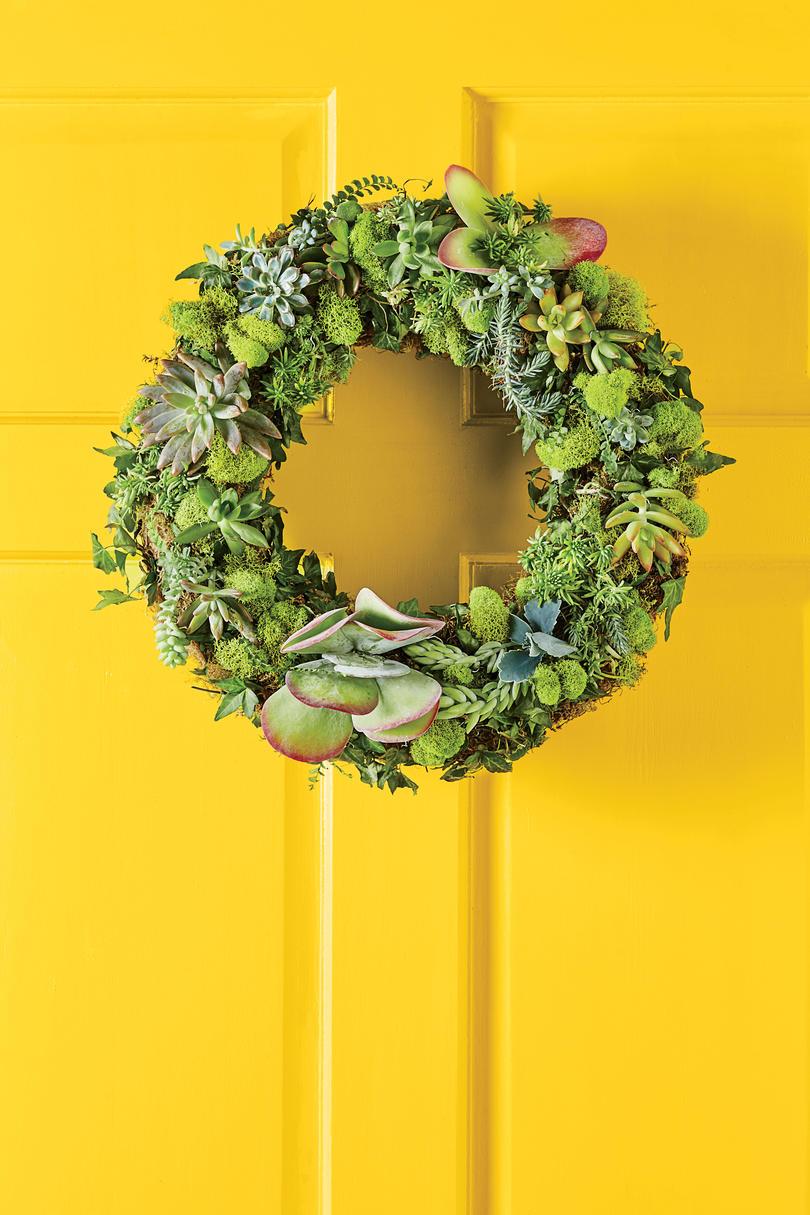 Pirteä Moss-and-Succulent Wreath
