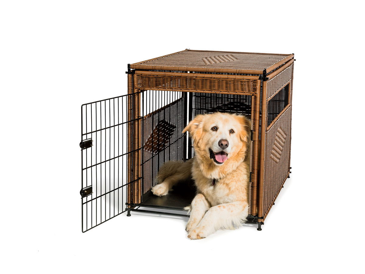 विकर Dog Crate