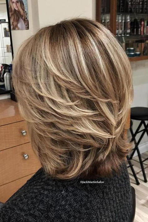 Svjetlo Brown Hair with Blonde Highlights