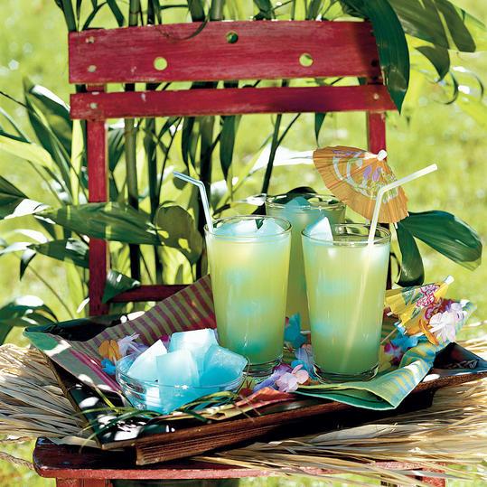 Puncs and Cocktail Summer Drink Recipes: Southern Breeze