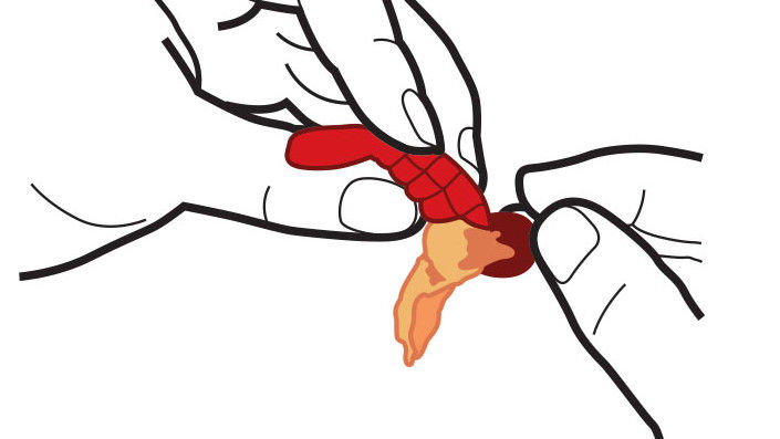 Kako To Eat Boiled Crawfish: Peel