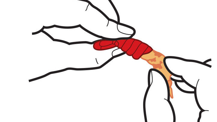Kako To Eat Boiled Crawfish: Tug