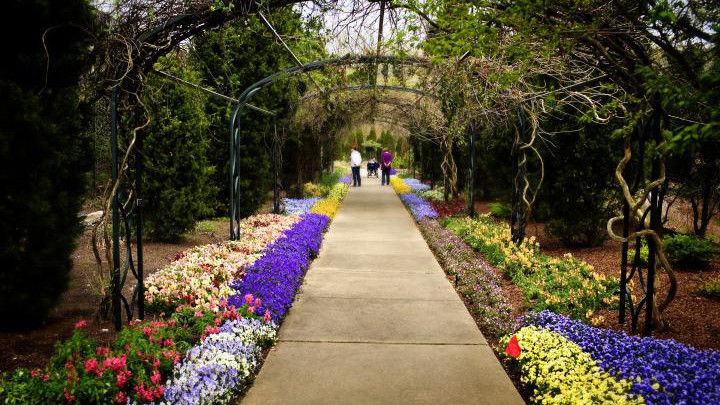 Cheekwood Botanical Garden (Nashville, Tennessee) 