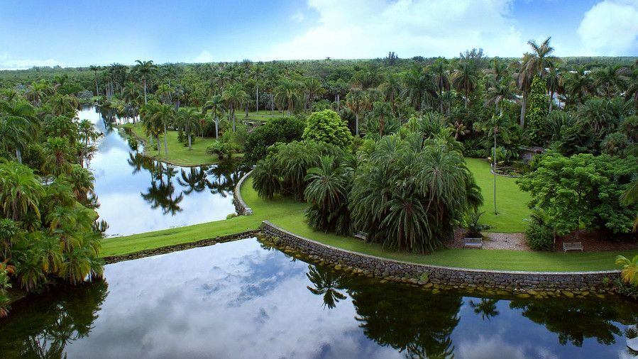 फेयरचाइल्ड Tropical Botanic Garden (Coral Gables, Florida) 