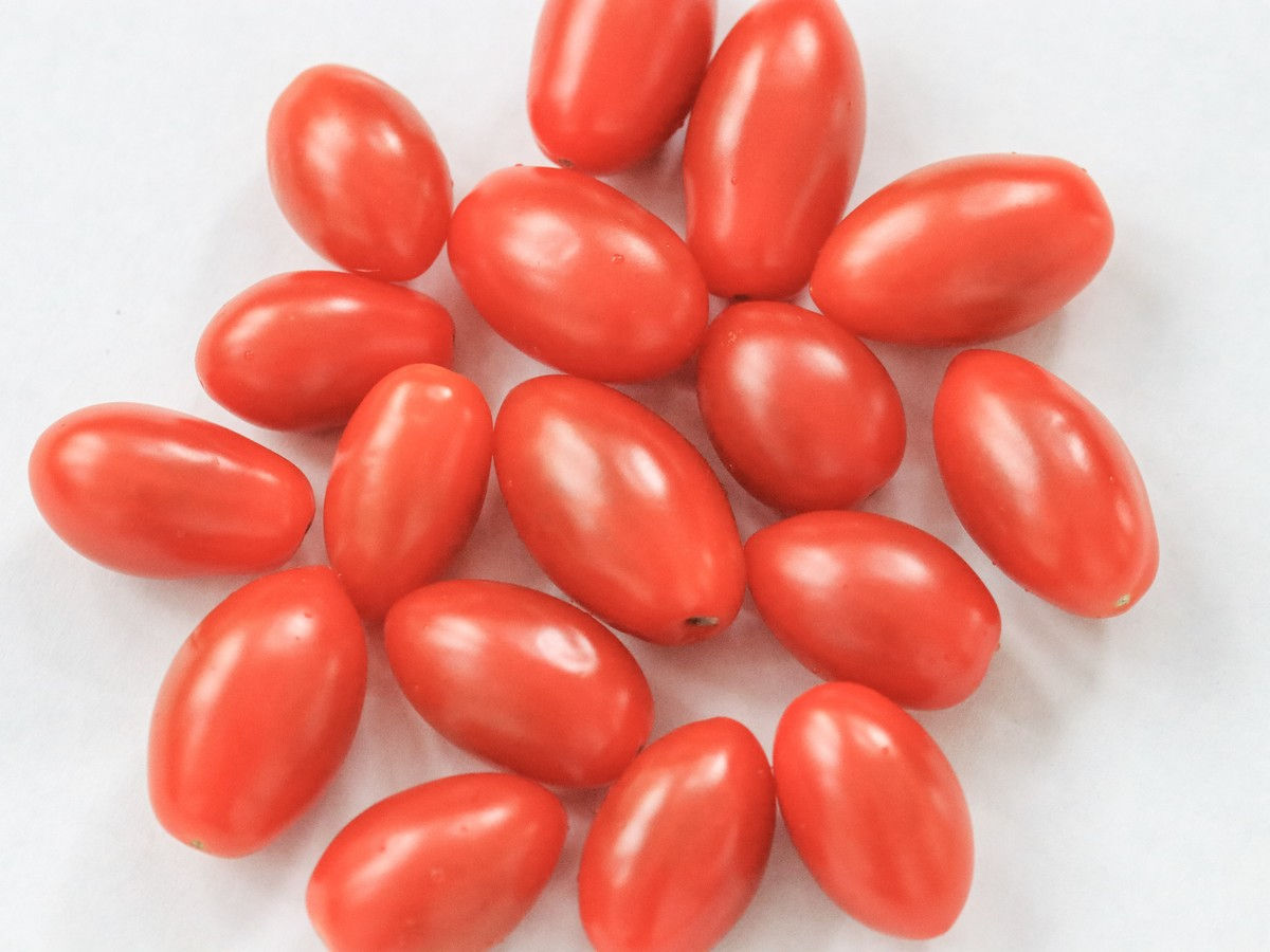 Szőlő Tomatoes