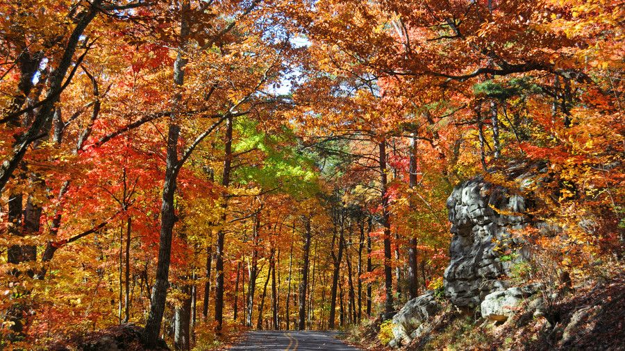 Pazi Mountain Scenic Parkway Fall Color