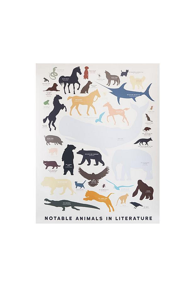 Eläimet Poster 