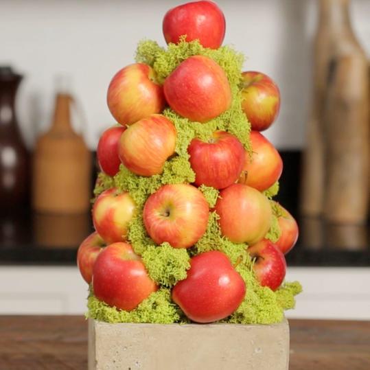Πως To Make an Apple Topiary