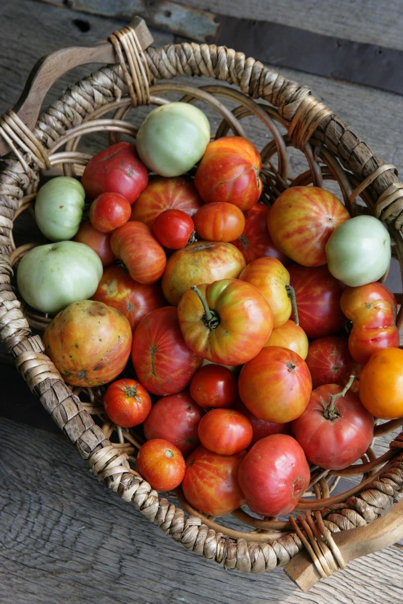 kori of Heirloom Tomatoes