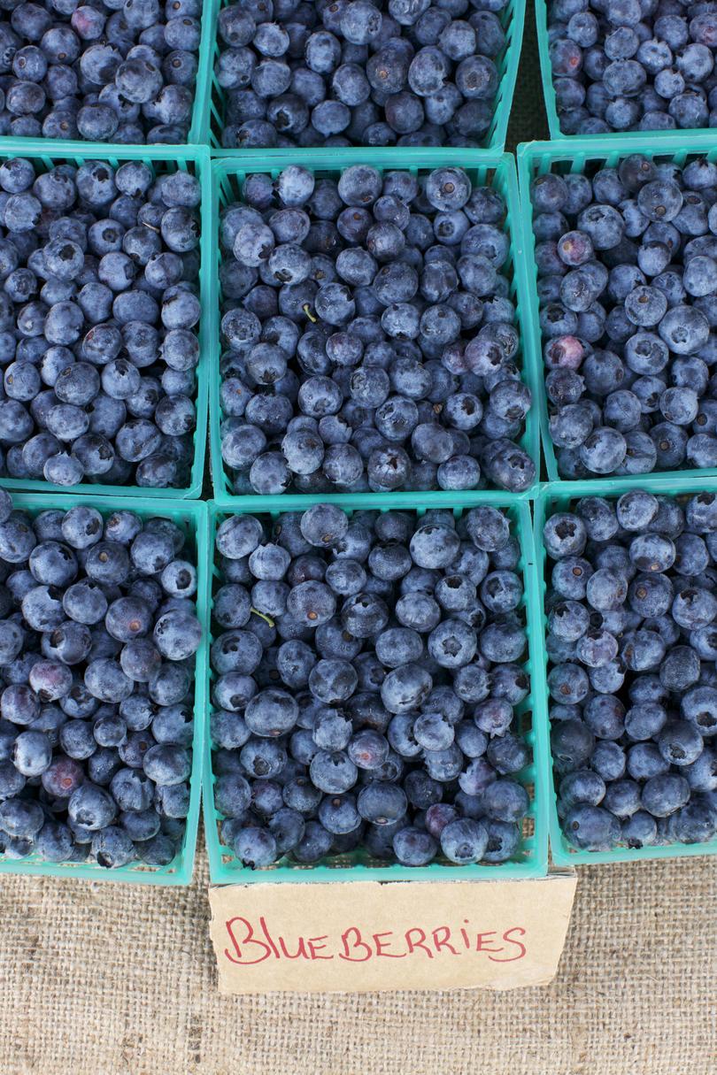 kori of Blueberries