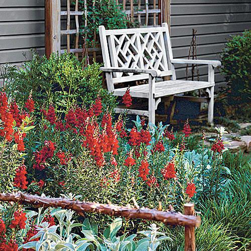 लाल wildflowers in a garden landscape with a teak bench set against a wall in the corner of the garden