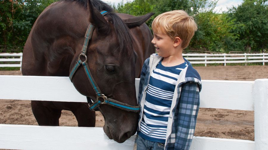 mladi boy with brown horse