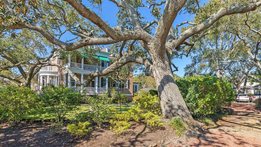 औपनिवेशिक Brick Home Charleston Oak Trees