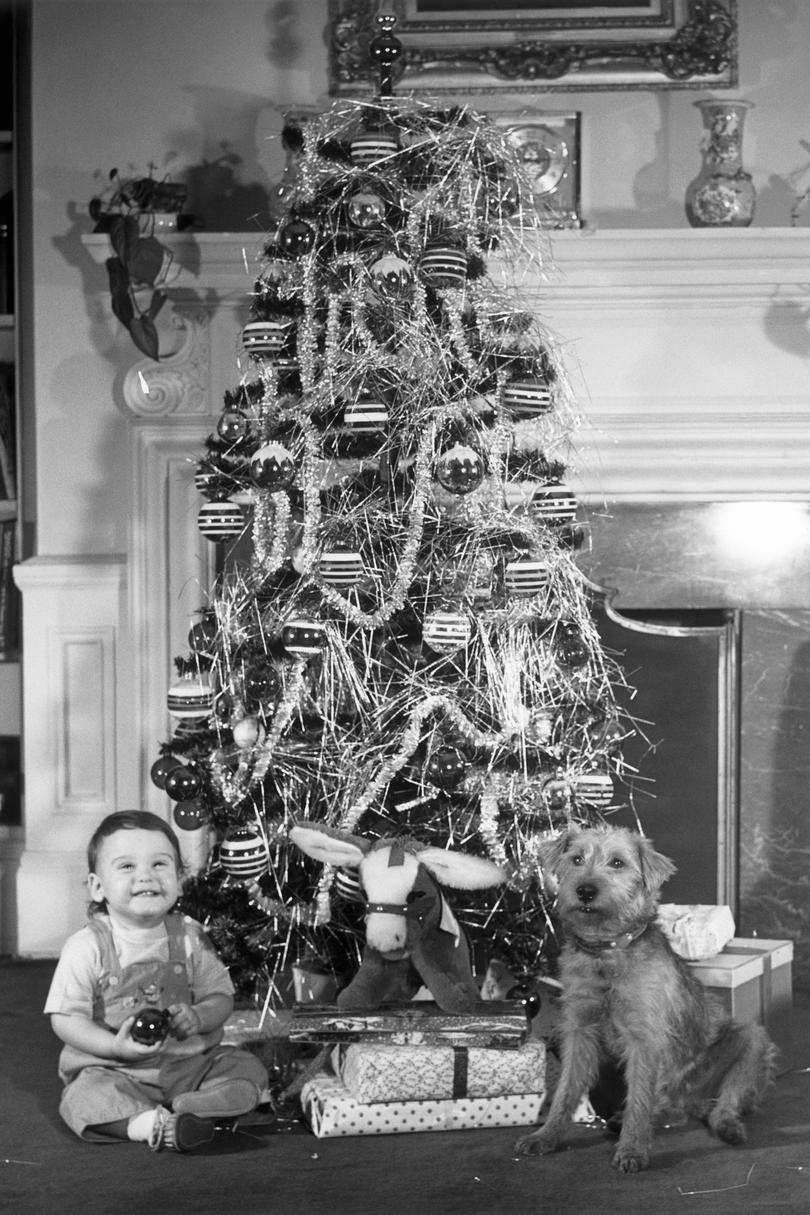 Karácsony Tree with Boy and Dog