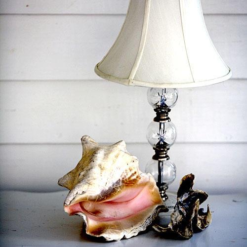 शंख Shell with Lamp