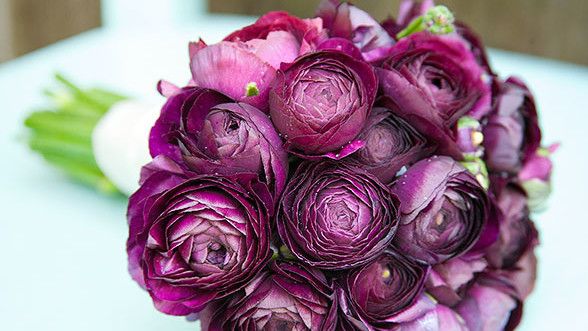 एक प्रकार का फूल Wedding Bouquets Regal