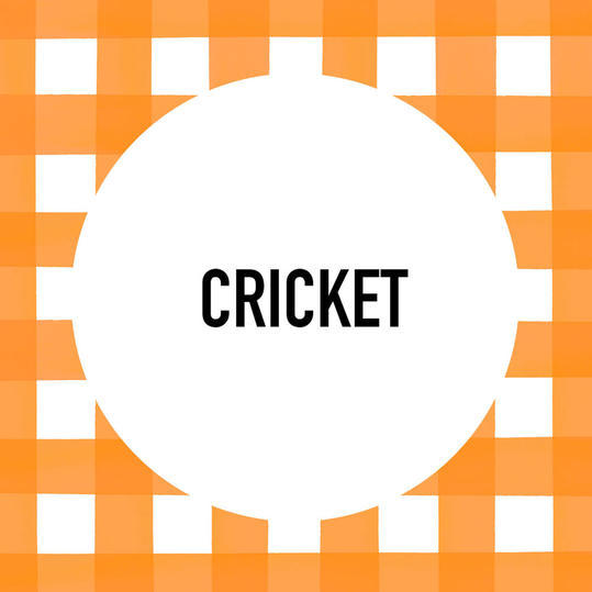 eteläinen Pet Name: Cricket 