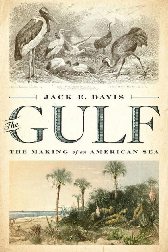 ο Gulf: The Making of an American Sea by Jack E. Davis