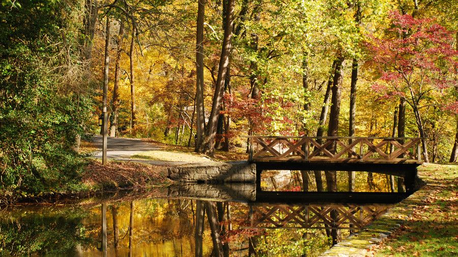 Hagley, Delaware Fall Color