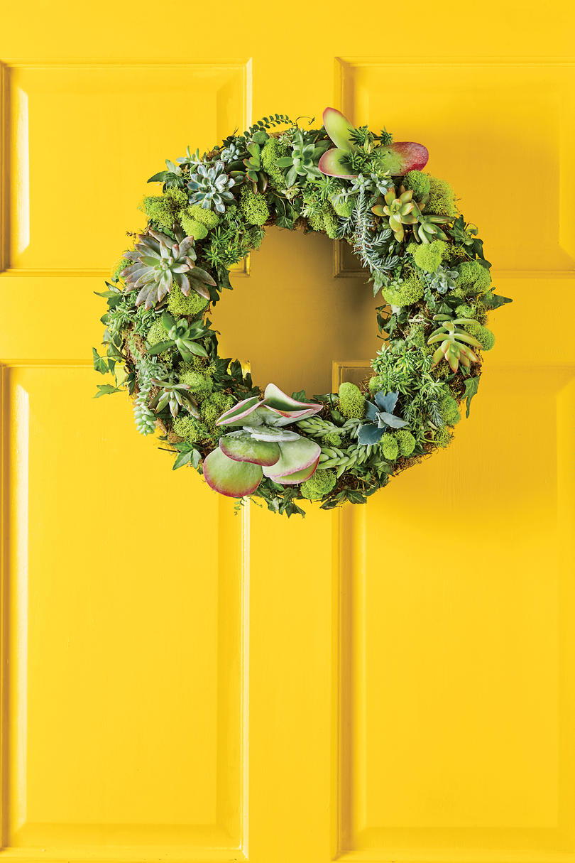 zelena Succulent Wreath on Yellow Door
