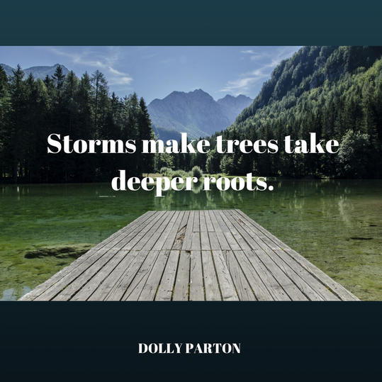 Tempêtes Make Deeper Roots