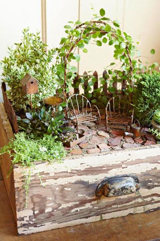 जादुई Miniature Garden