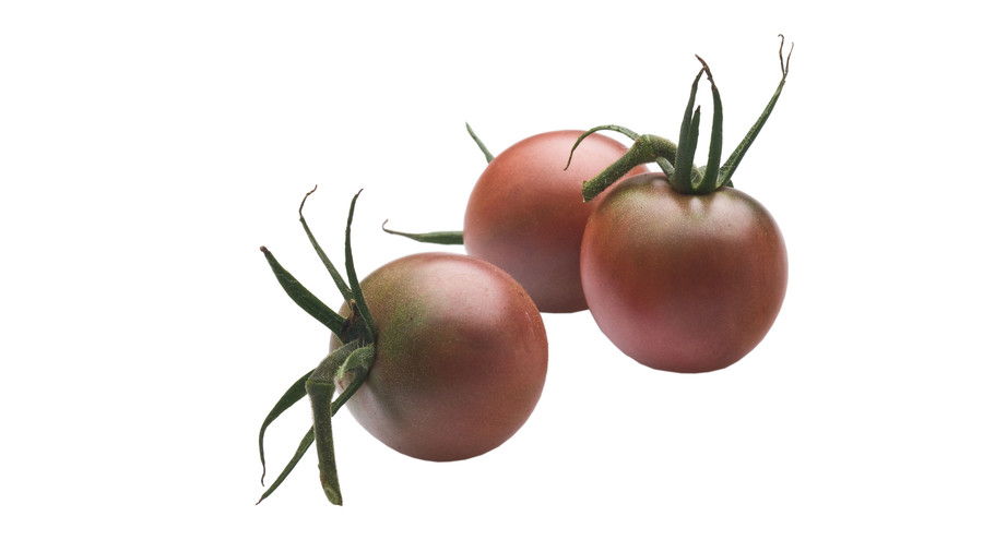 Croissance Tiny, Tasty Tomatoes: ‘Chocolate Cherry’
