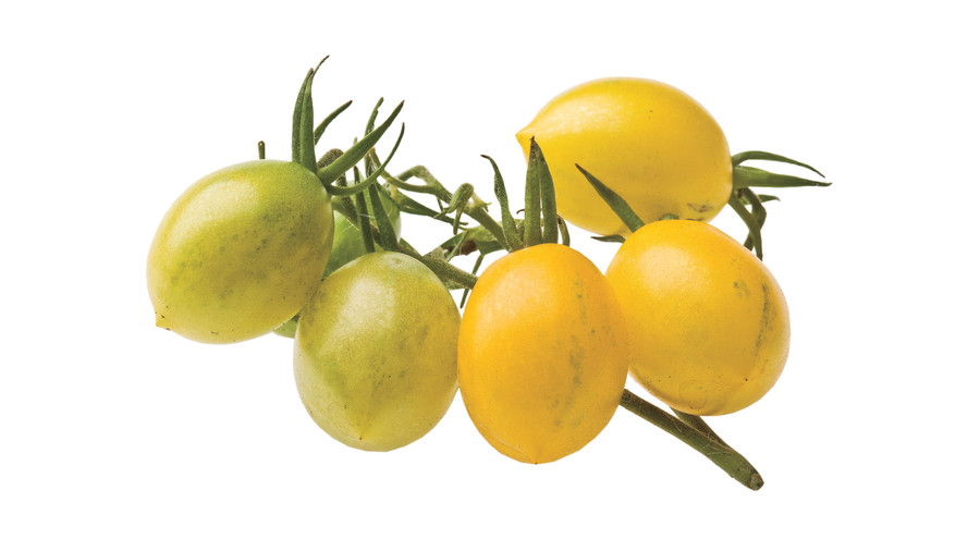 Croissance Tiny, Tasty Tomatoes: ‘Yellow Grape’