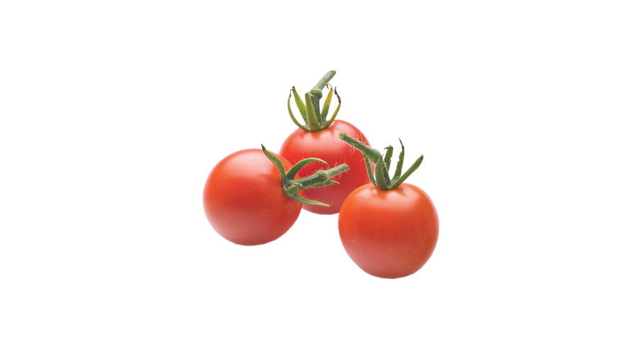 Croissance Tiny, Tasty Tomatoes: ‘Sweet Baby Girl’