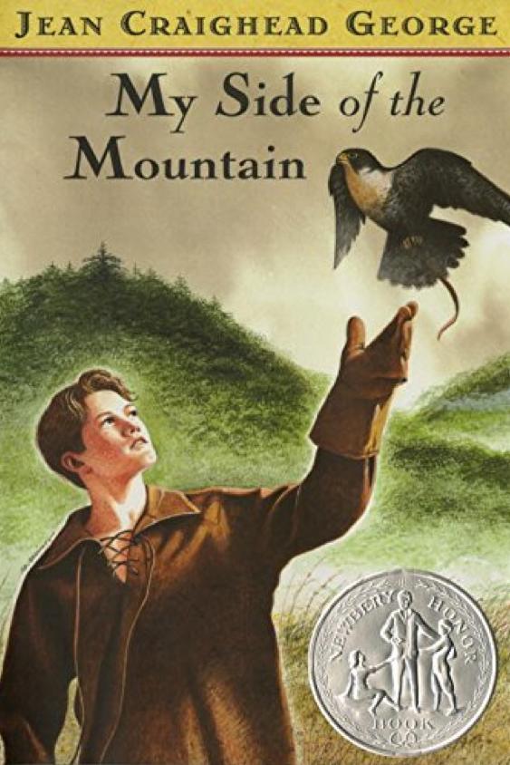 Minun Side of the Mountain by Jean Craighead George