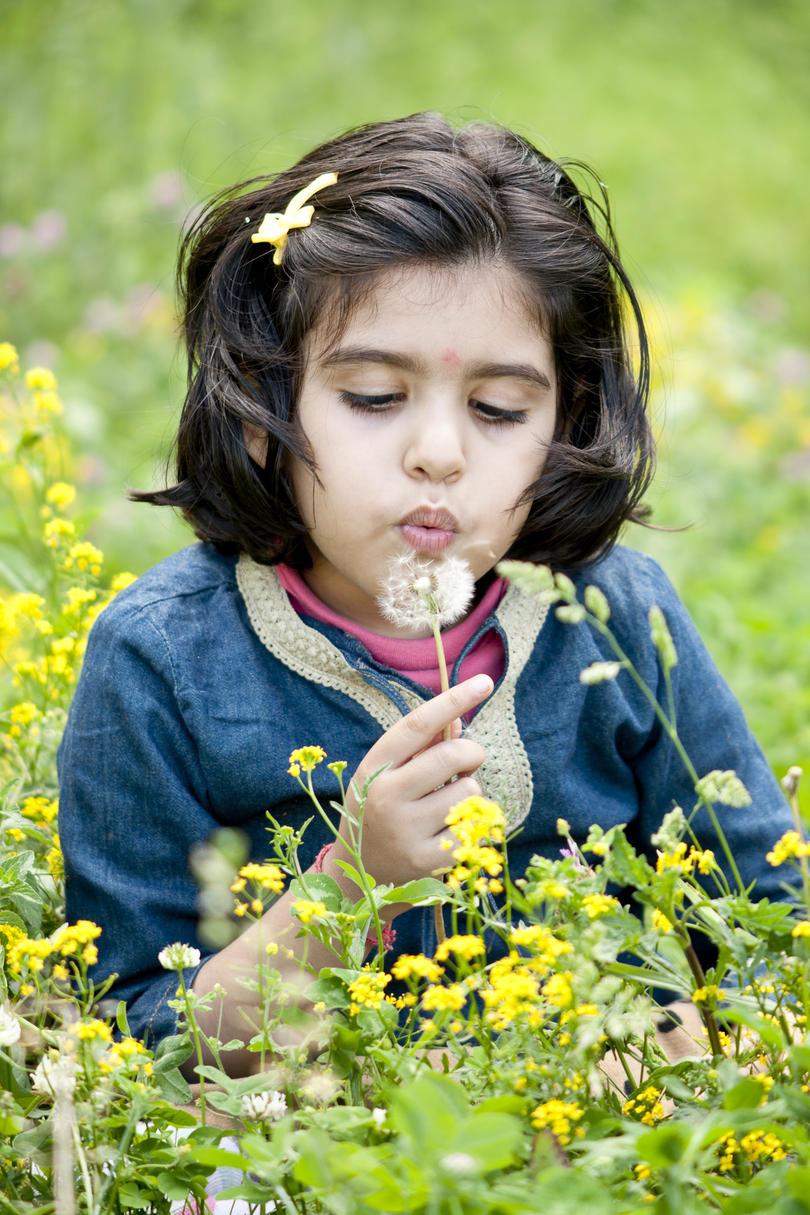 लड़की blowing away dandelions.