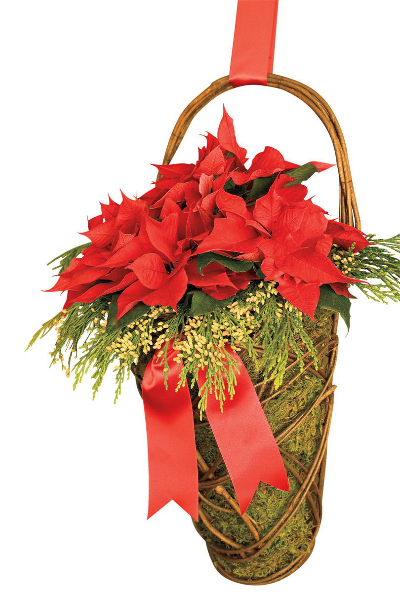 Karácsony Decorating Ideas: Poinsettia Moss Basket