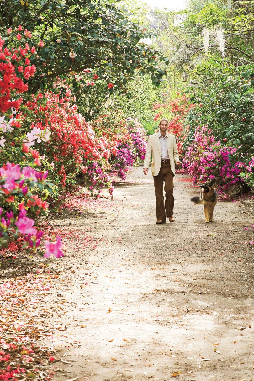 Férfi Walking Dog in Garden of Azaleas
