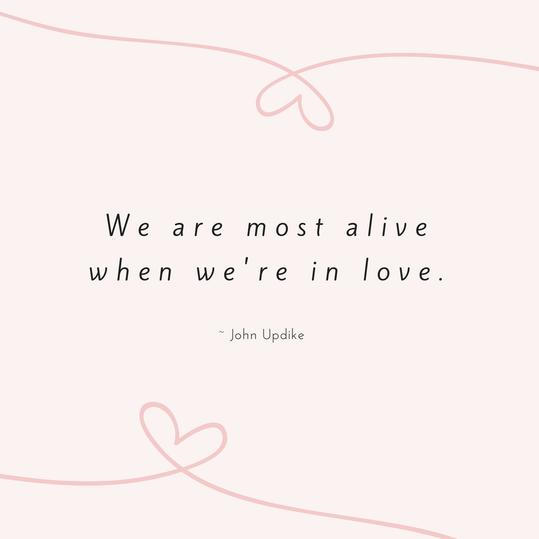 जॉन Updike Love Quote