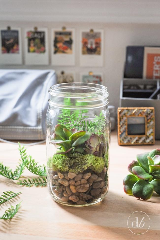मकान बनाने वाला Jar Terrarium
