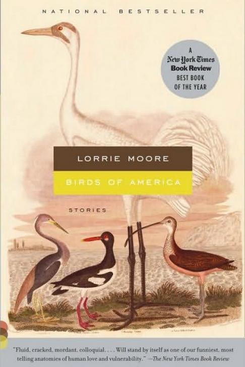 पक्षी of America by Lorrie Moore