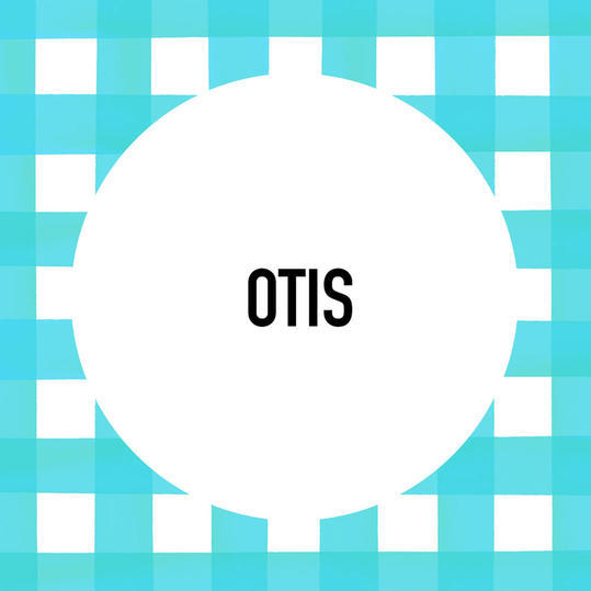 eteläinen Pet Name: Otis