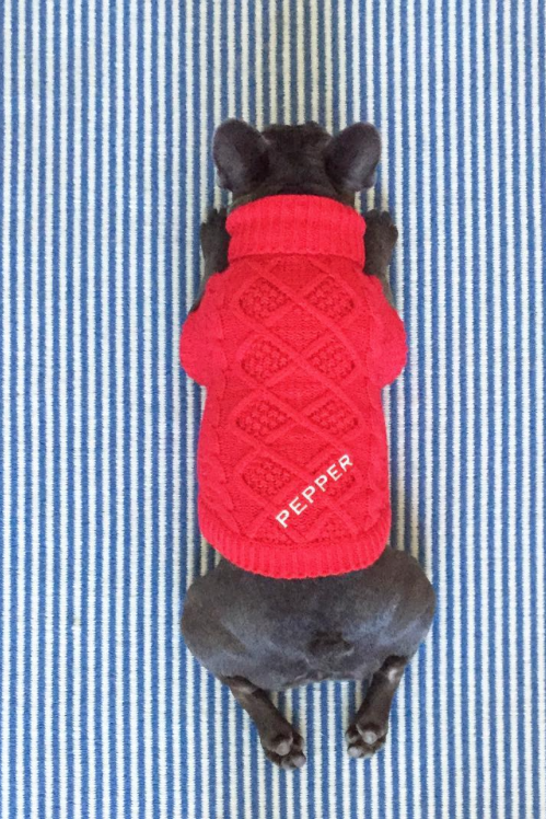 Papar the Dog Sweater