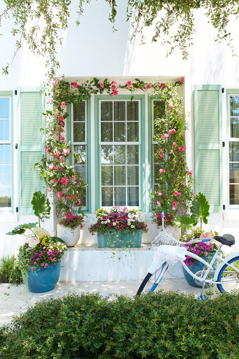 हरा Shutter with Pink Flowers and Bicycle