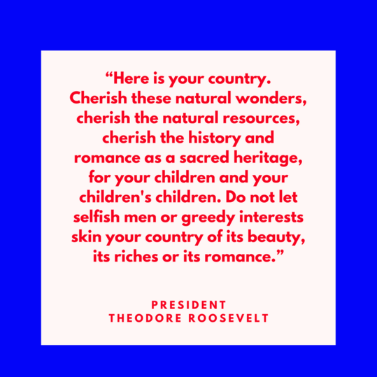 अध्यक्ष Theodore Roosevelt on America