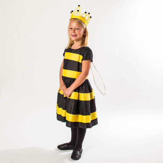 रानी Bee Costume