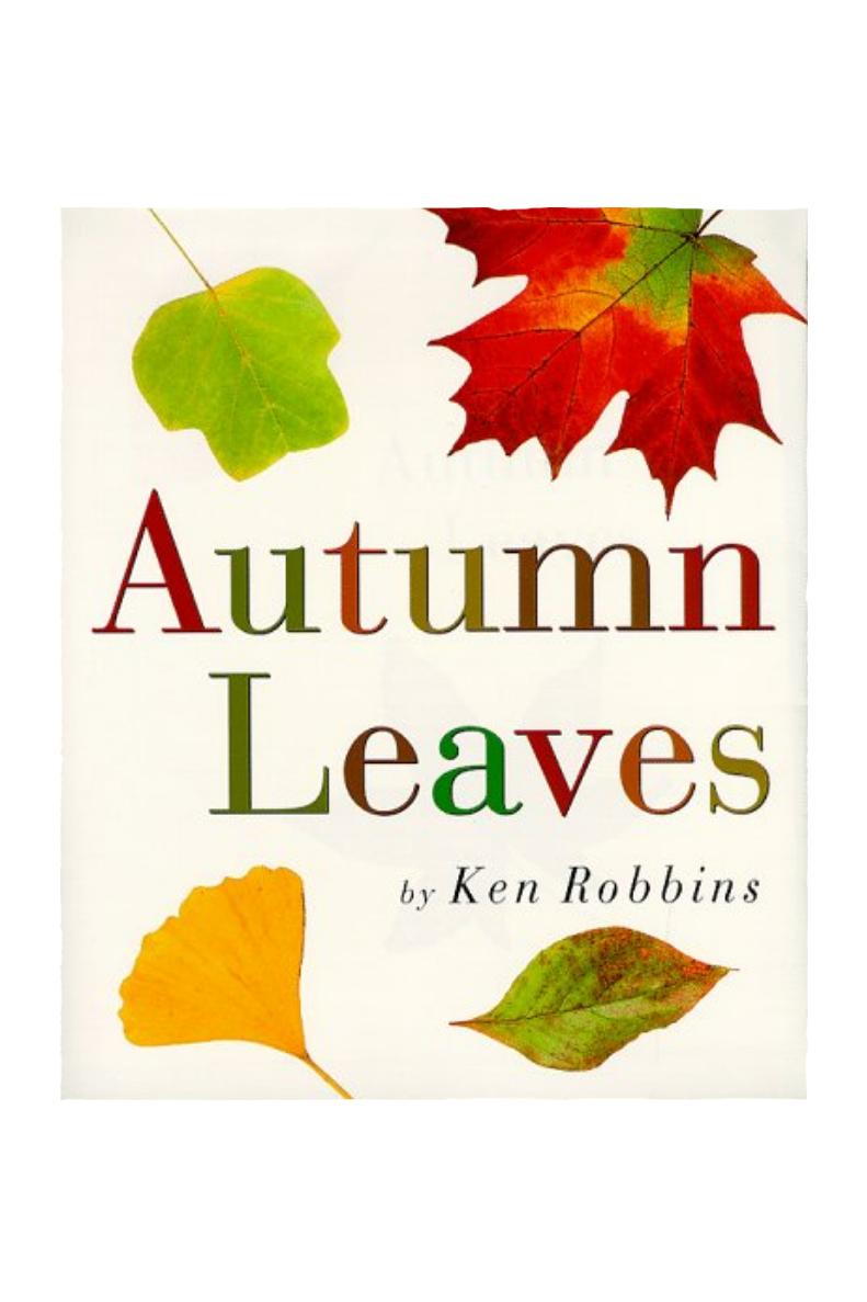 पतझड़ Leaves by Ken Robbins