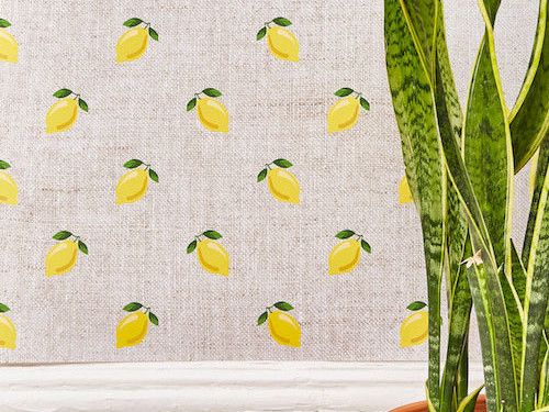Soludos Lemon Wallpaper